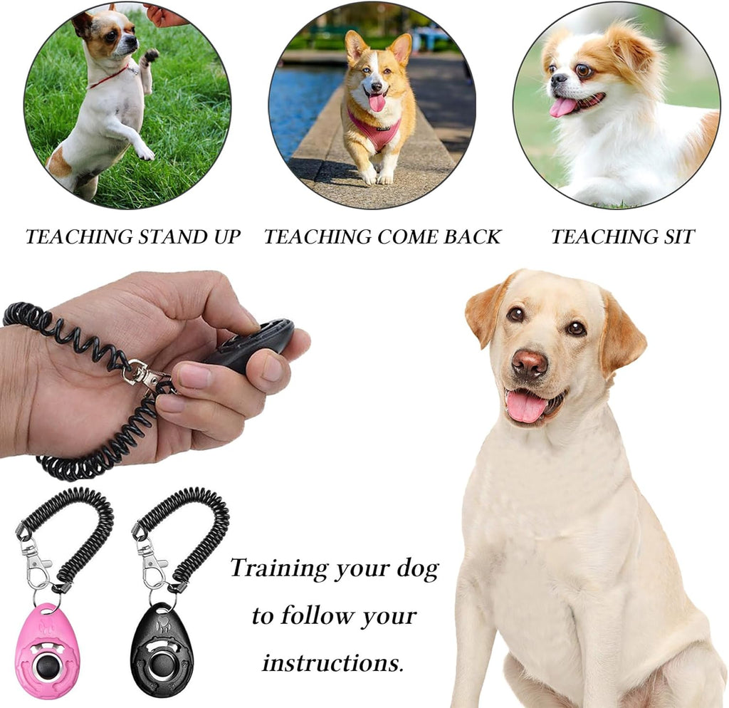 TidyDen Walk Treat Pouch