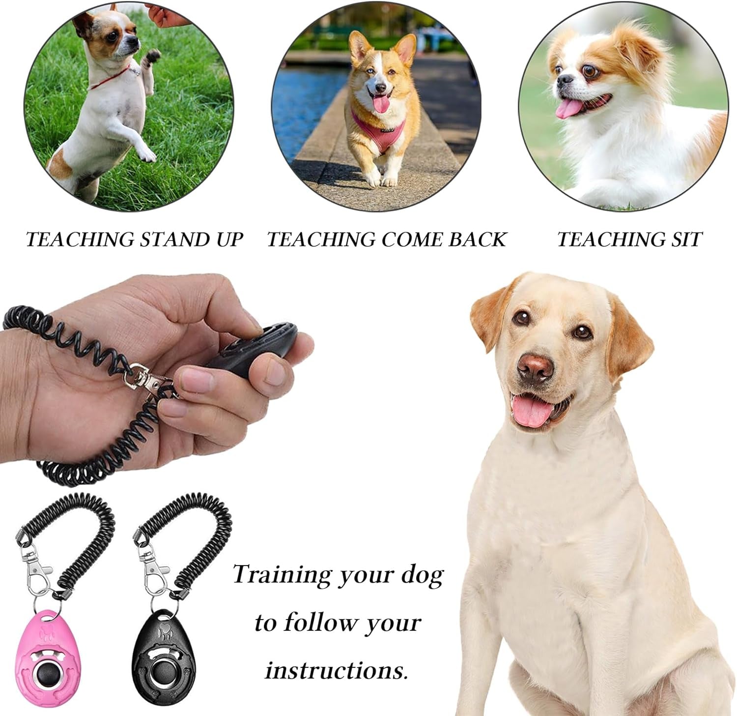TidyDen Walk Treat Pouch