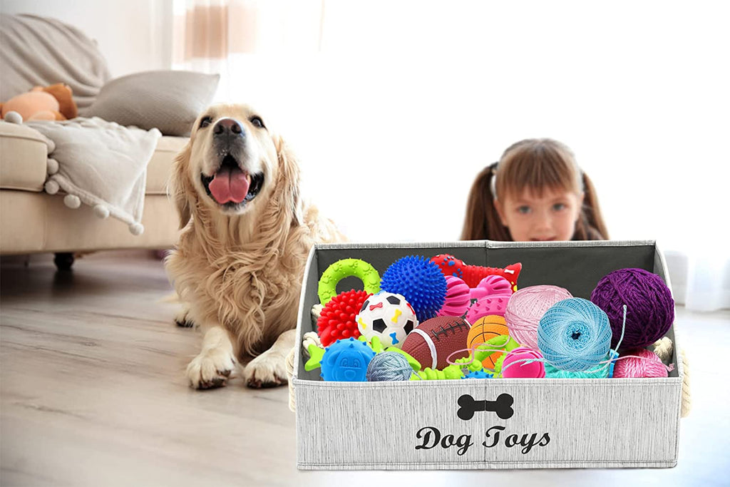 TidyDen Toy Storage Basket