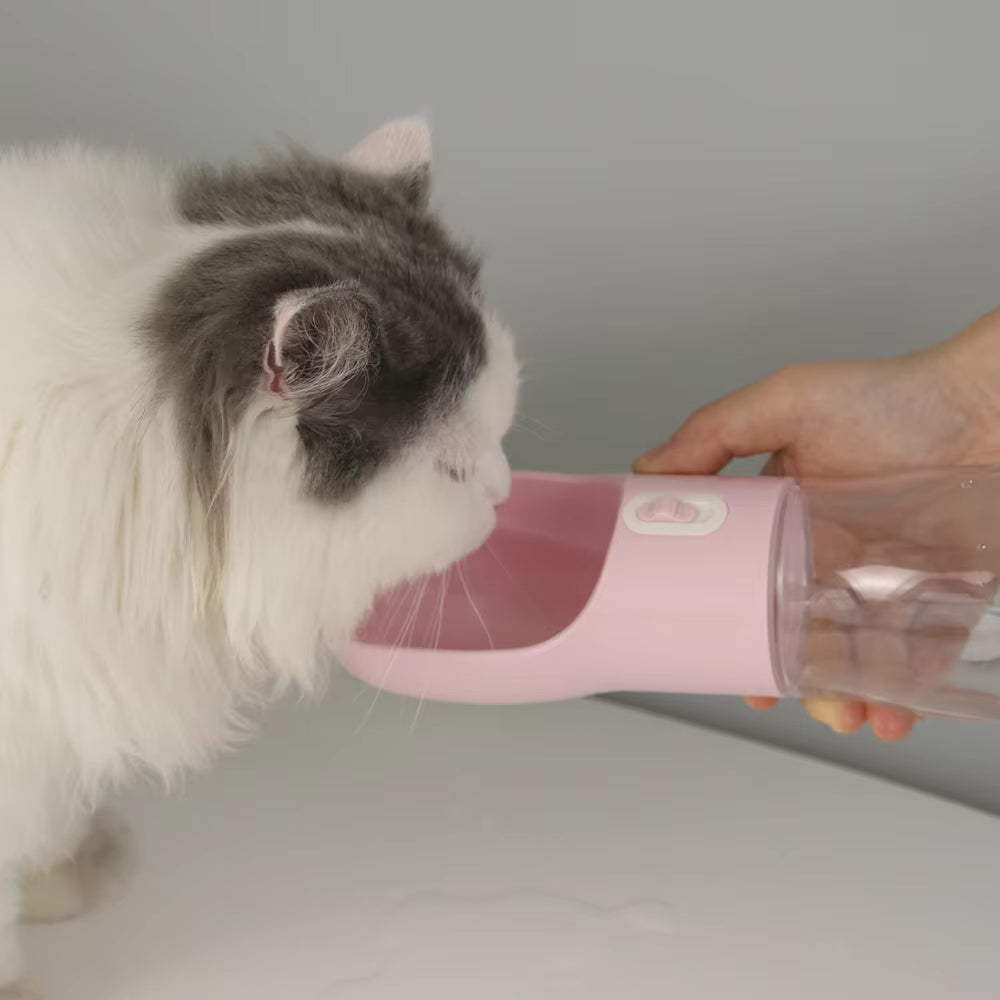 TidyDen Walk Water Bottle